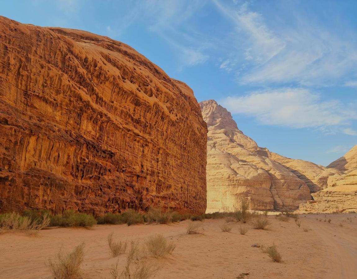 Desert Knights Camp Wadi Rum Ngoại thất bức ảnh